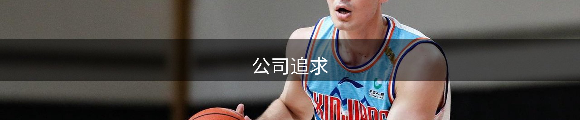公司追求